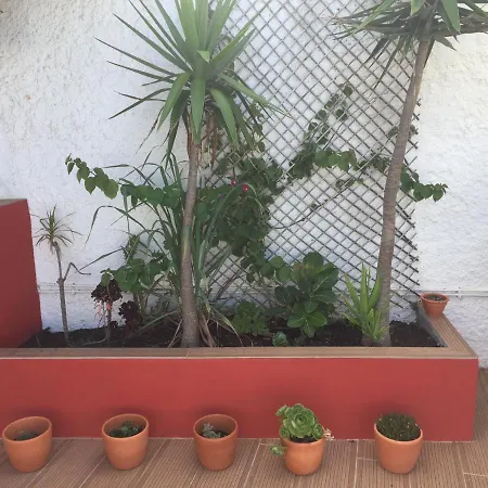 Casa Da Boa Viagem Holiday home Calhetas