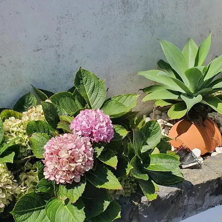 Casa Da Boa Viagem Ferienhaus Calhetas